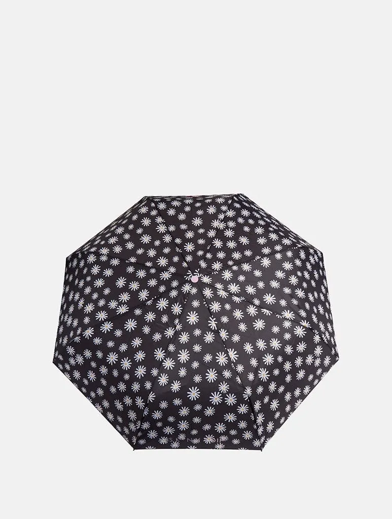 Daisy Umbrella