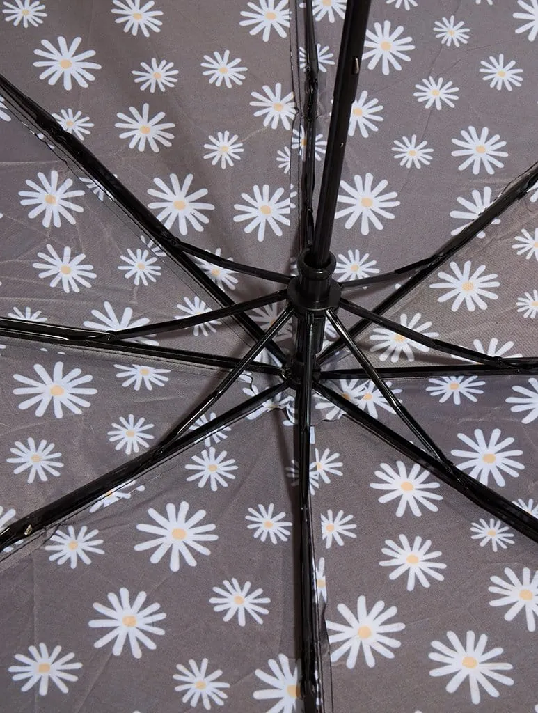 Daisy Umbrella